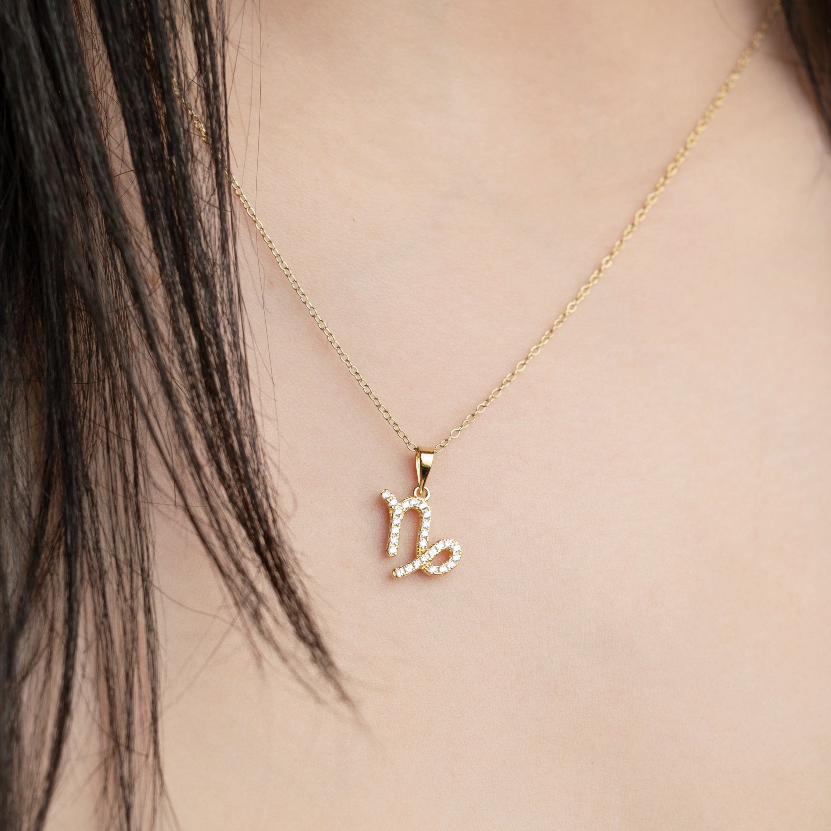 Capricorn Necklace in Gold